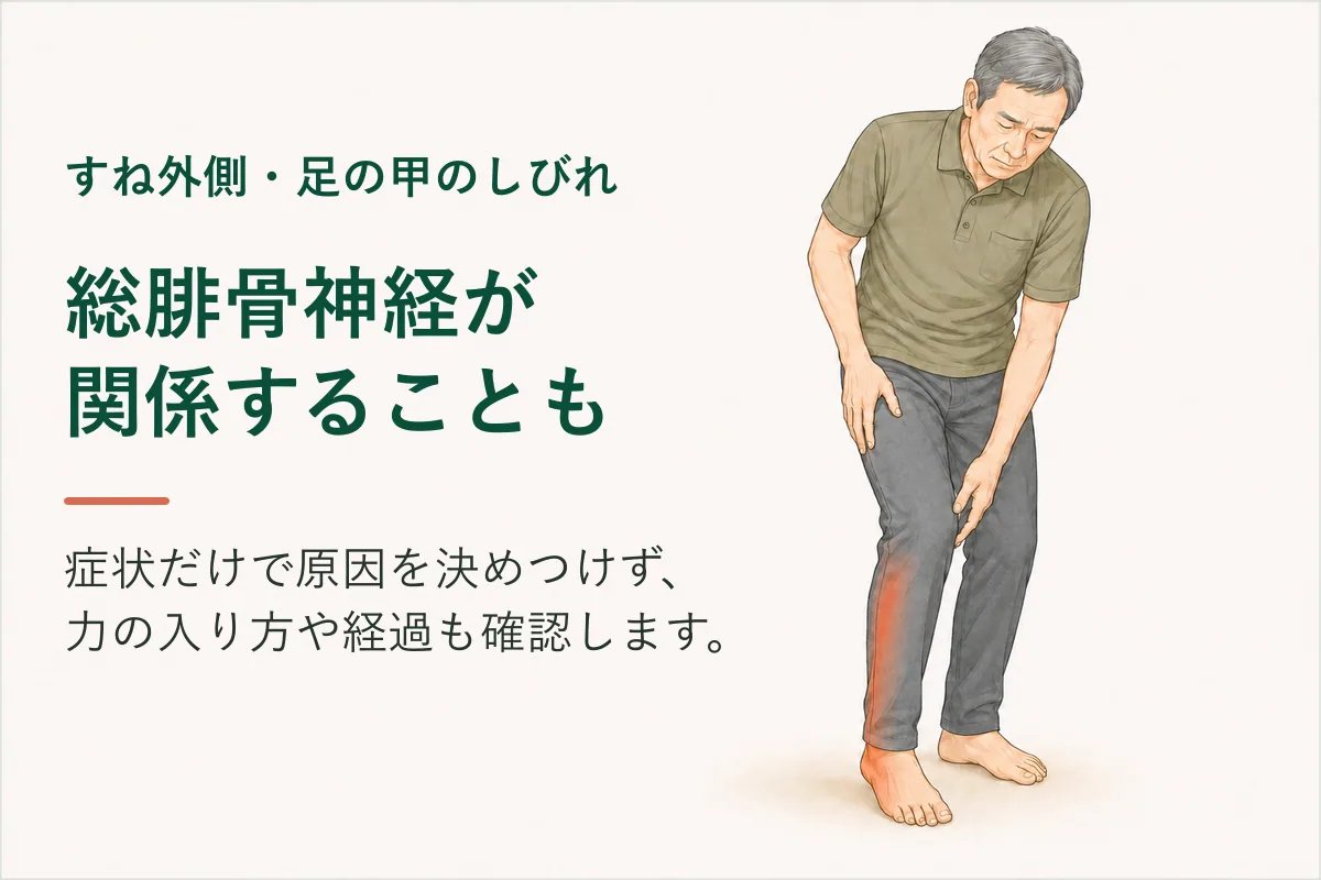 すねの外側から足の甲にしびれを感じている男性のイラスト