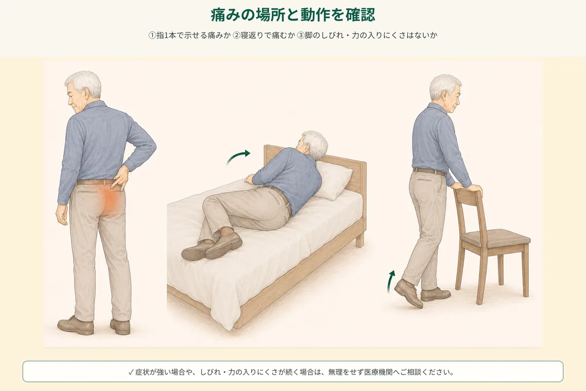 立ち上がり、歩行、寝返りの左右差を確認するセルフチェック図