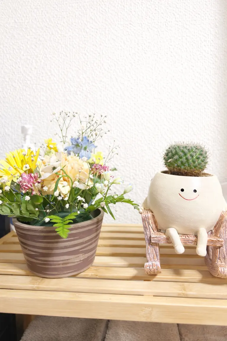 整体院ひざこぞう 院内に飾った花とサボテン