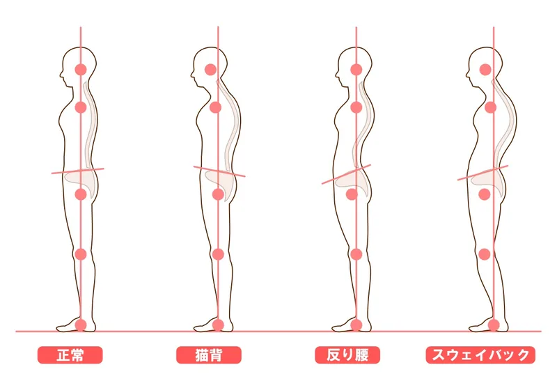 立ち姿勢と重心線のイラスト