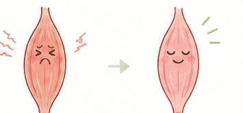 固くこわばった筋肉から力が抜けた筋肉へ変わるイラスト